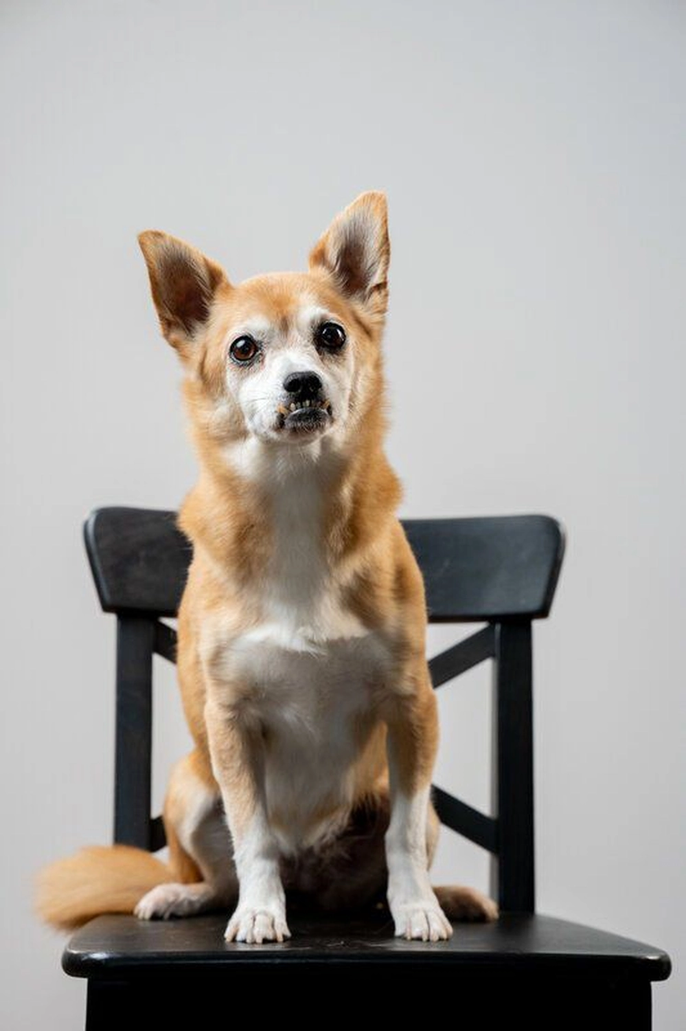 Cjk - Hair Atelier - Team - Nova